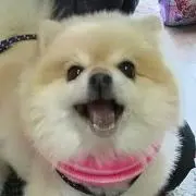 ななの画像