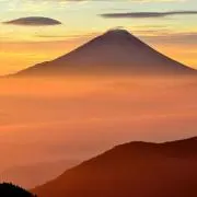 KENZOの画像