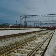 道草の画像