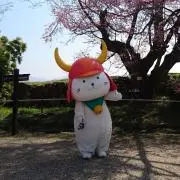 Ree.jの画像