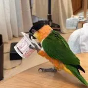 ななとの画像