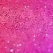 SALAの画像
