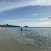 LBMの画像