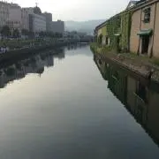 クマ