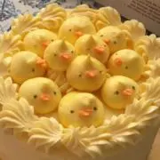 ポンちょの画像