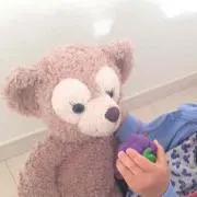 ぷりんの画像