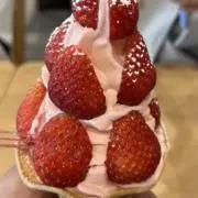 セラの画像