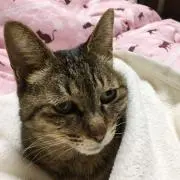 ki ☆kiの画像