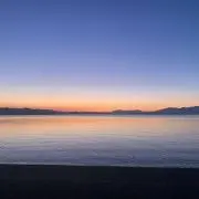 ちゃの画像