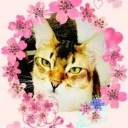＊にゃんたま＊プロフ読んで下さいね。