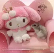 むむちゃん。の画像
