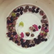 アマールカ