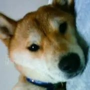 司馬無空