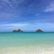 プロフ閲覧お願い致します✴︎Shoreの画像