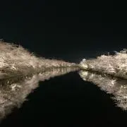 mikoの画像