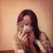 こぐまʕ•ᴥ•ʔ【同梱割引あり】の画像