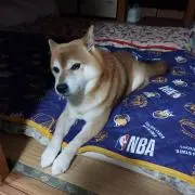 ムサシのねえね