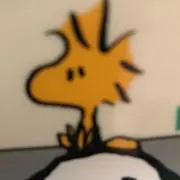 ムーアの画像
