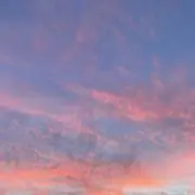 Kuruの画像