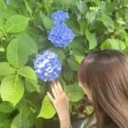 みゆみゆの画像