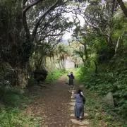 さや