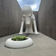 レイ