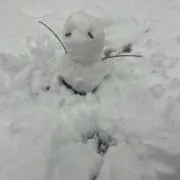 すーじーの画像