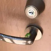 かえる