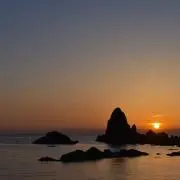 ANIの画像