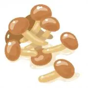なめこの画像
