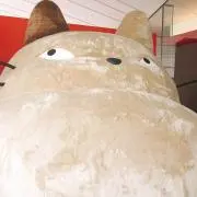 matsuの画像
