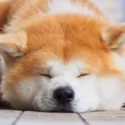 TIK フォロワーお値引き⭕️の画像
