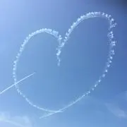 ココナの画像