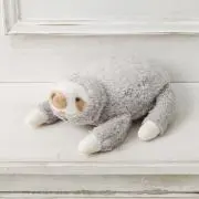 sourの画像