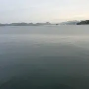 ショウ