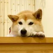 ユージンの画像