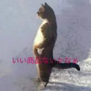 AKI☆即購入ok!!!