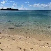 しおりの画像