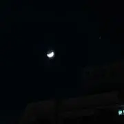 ヒデヨシの画像