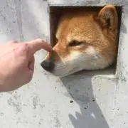 Mike Dの画像