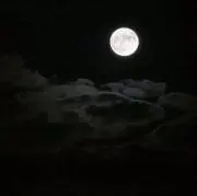 はっとりくんの画像