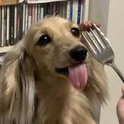 エリーの画像