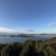 Jamの画像