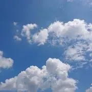 Hanaの画像