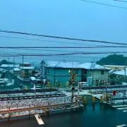 ハロー