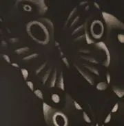 ミドの画像