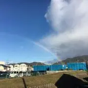 TAROの画像