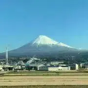 もっちの画像