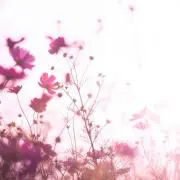 ss