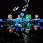 ☆きふぅす☆
